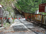 DSCF1317