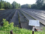 DSCF1357
