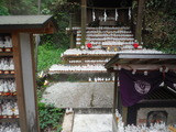 DSCF7551