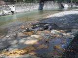 DSCF0722