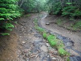 DSCF8406