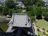 DSCF1318