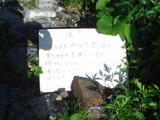 DSCF8275
