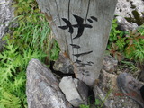 DSCF1213