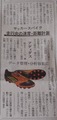 PA300217