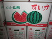 H240810青果 003