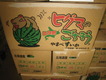 H240810青果 001