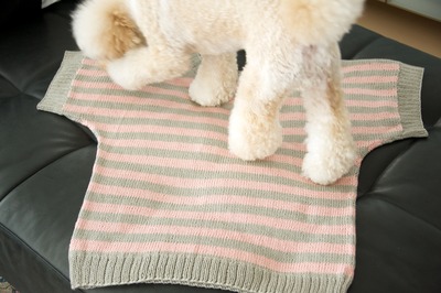 DSC_4032