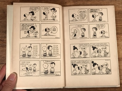 Vintage Peanuts Snoopy “Snoopy” Comic Book (13)
