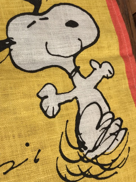 Vintage Peanuts Snoopy “I Feel Like...” Cloth Tapestry (19)