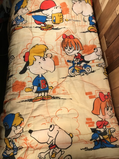 Vintage Boys & Girls Dog Baseball Sleeping Bag