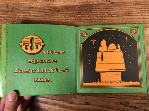 Vintage Peanuts Snoopy Picture Book (12)