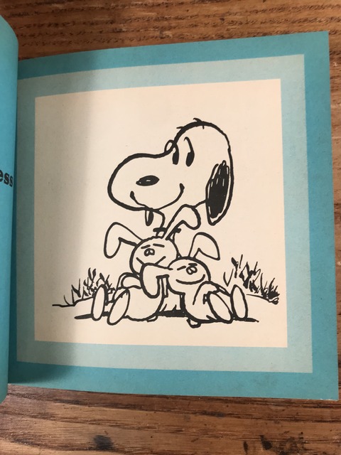 Vintage Peanuts Snoopy Picture Book (40)