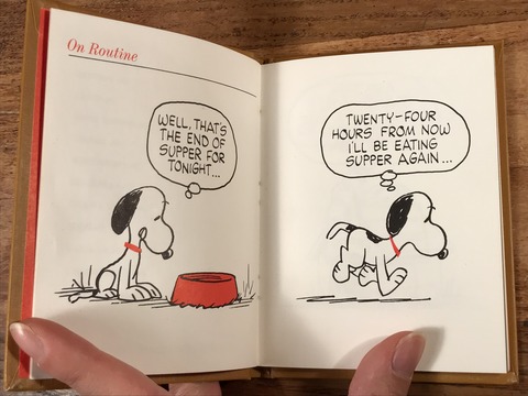 Vintage Hallmark Peanuts Snoopy Mini Picture Book Set (21)