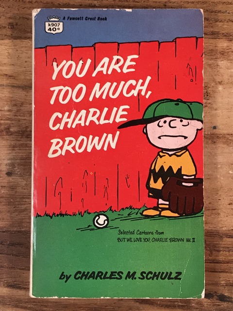Vintage Peanuts Snoopy Comic Book (1)