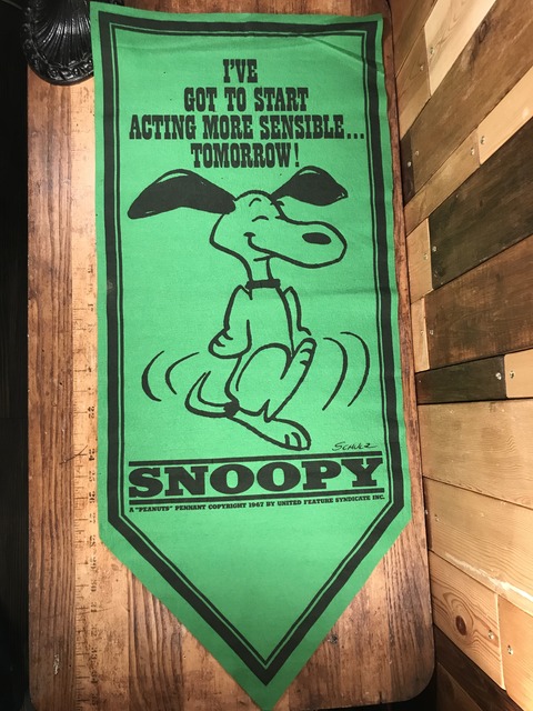 Vintage Peanuts Snoopy “I've Got To Start...” Felt Banner (1)
