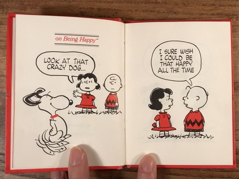 Vintage Hallmark Peanuts Snoopy Mini Picture Book (12)
