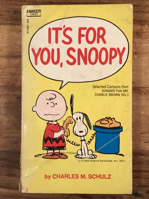 Vintage Peanuts Snoopy “It's For You, Snoopy” Comic Book (1)