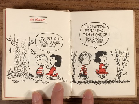Vintage Hallmark Peanuts Snoopy Mini Picture Book (13)