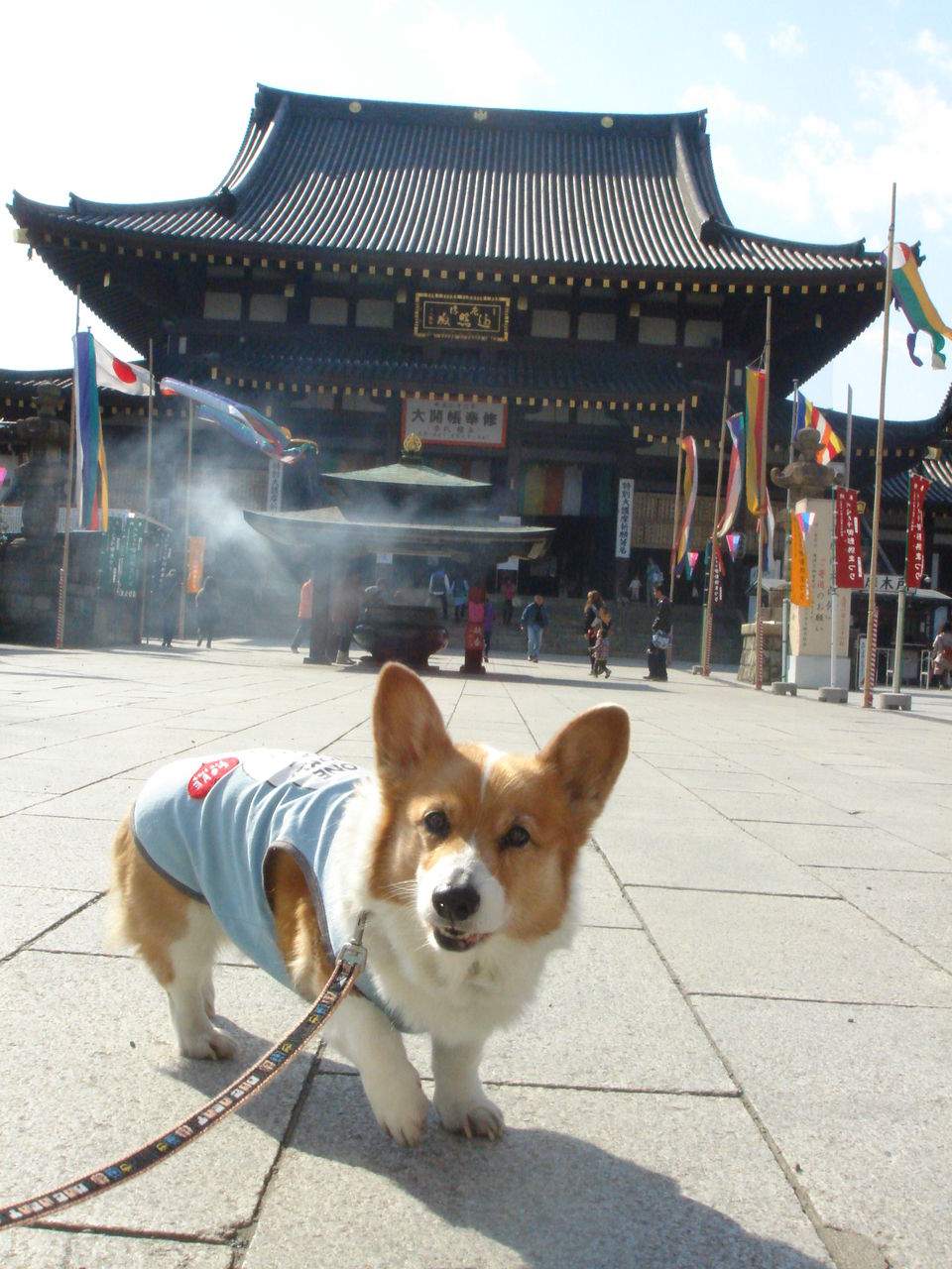 ͂悤I㌀@\VR4@#59i63bj[][]©2ch.net	->摜>18 