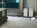 IMG_0423