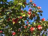 IMG_0270