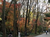 IMG_2010