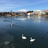 IMG_2149