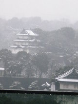 the palace covered with snow（Feb.3rd,2008）