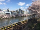 外堀と並行して走る中央線 (from 香織先生 in Tokyo