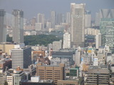 The imperial villa (浜離宮) looks like the forest.