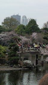 西口の高層ビル群が!