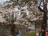 盛岡城2