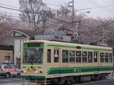 この車型が通常の運行車両