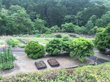 薬草園を眺める