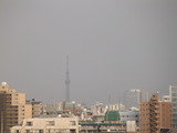 3月10日16:26