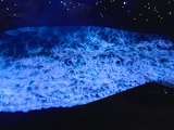 IMG_1250