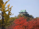 晩秋の大阪城