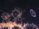 2016 8 03 長岡の花火C