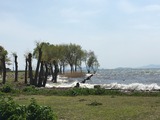 天気晴朗なれど波高し (琵琶湖/長浜)