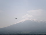 八幡平からの岩手山(岩手山の裏)