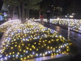 illuminations on the ground (Southern Terrace) on the third of January in 2012.