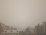 3月10日13:55