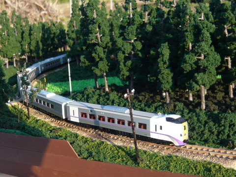 やたら木線とキハ261系1000その4