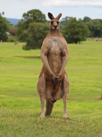 174