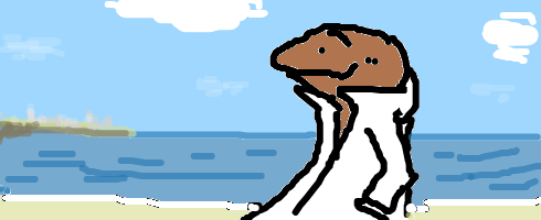 31