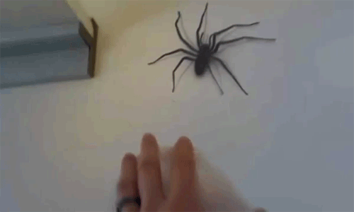 322