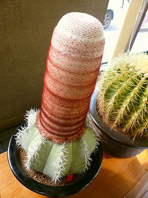 125