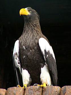 342