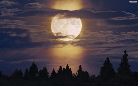 【月】今夜午後８時２１分「スーパームーン」 最も大きく満月が見える！